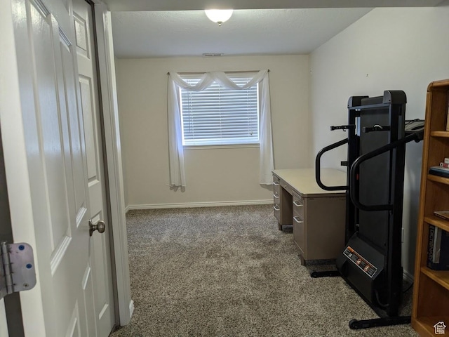 641 W 3550 S, Riverdale, UT 84405 - office area with baseboards and carpet flooring