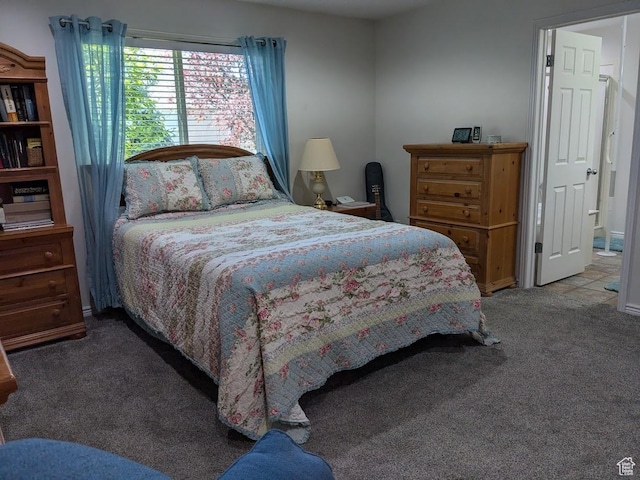 641 W 3550 S, Riverdale, UT 84405 - view of carpeted bedroom