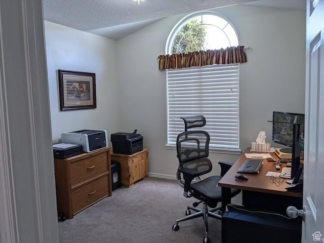 641 W 3550 S, Riverdale, UT 84405 - office area with baseboards, light carpet, and vaulted ceiling