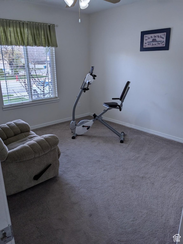 641 W 3550 S, Riverdale, UT 84405 - workout area featuring baseboards, ceiling fan, and carpet