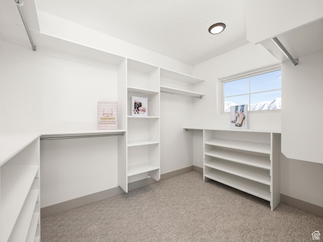 spacious closet featuring carpet