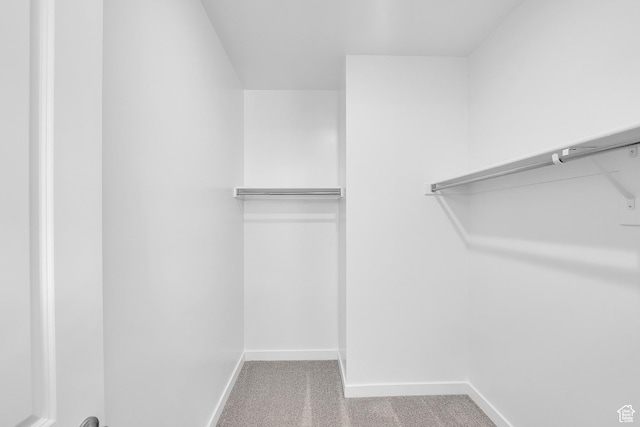 356 W Emma St Unit 625, Grantsville, UT 84029 - spacious closet with carpet flooring