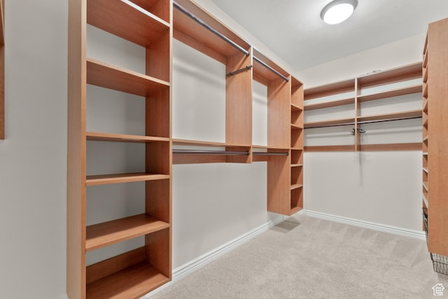 walk in closet featuring carpet