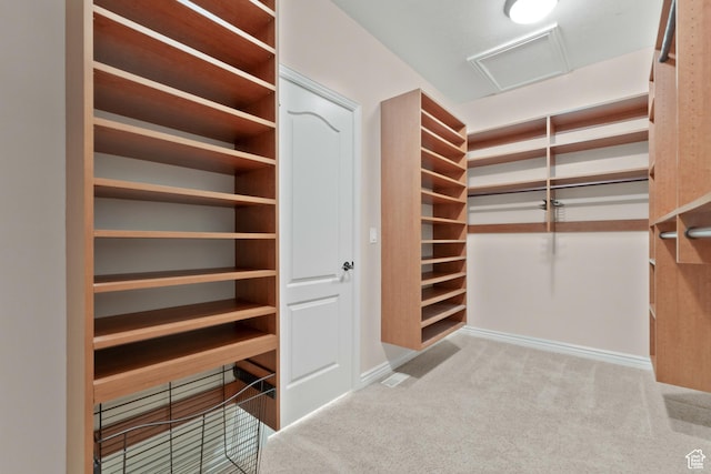 walk in closet with carpet flooring and attic access