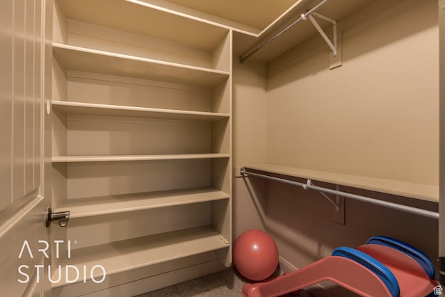 1285 Summerwood Cir, Santa Clara, UT 84765 - view of walk in closet