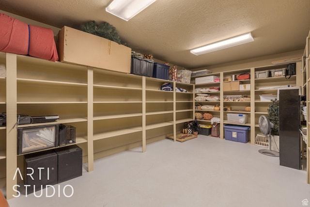 1285 Summerwood Cir, Santa Clara, UT 84765 - view of storage area