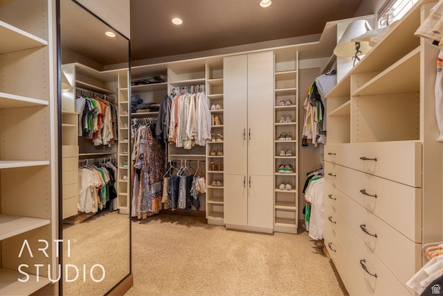 1285 Summerwood Cir, Santa Clara, UT 84765 - spacious closet featuring light carpet