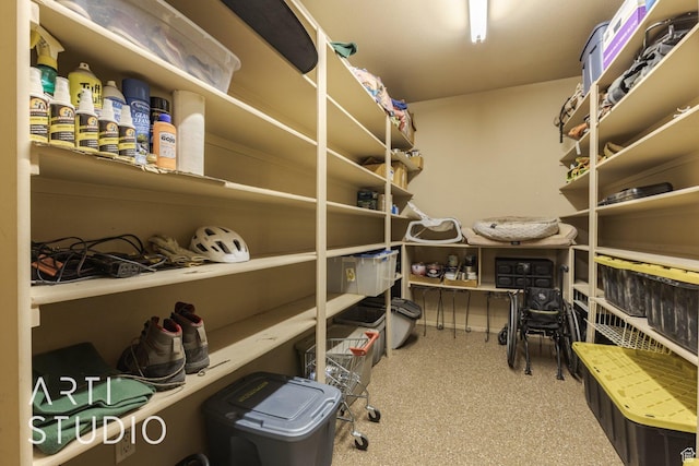 1285 Summerwood Cir, Santa Clara, UT 84765 - view of storage
