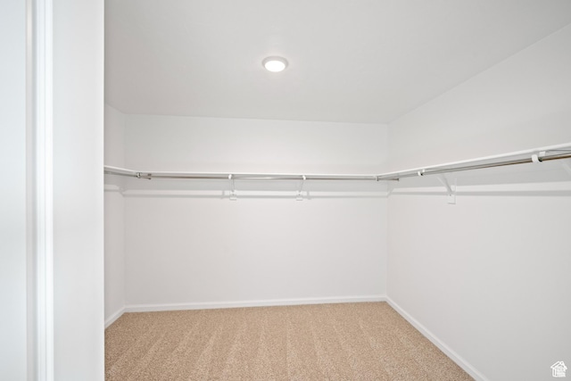 walk in closet with light colored carpet