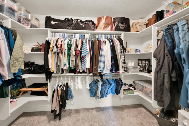 3632 E Sapphire Creek Ln N Unit 318, Eagle Mountain, UT 84005 - walk in closet with carpet floors
