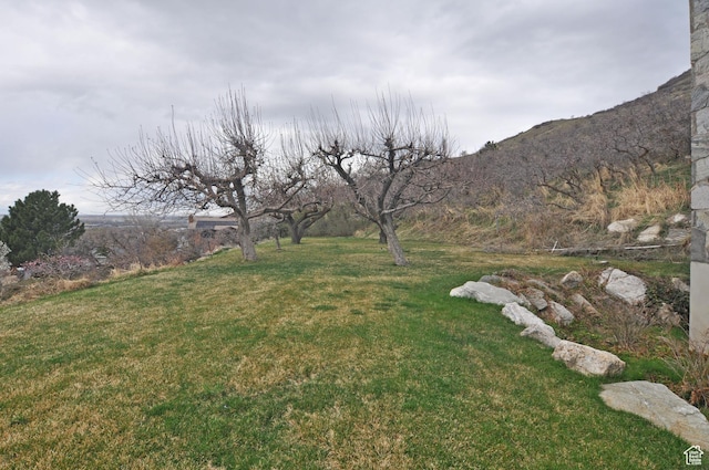 360 E 1825 N, Centerville, UT 84014 - view of yard