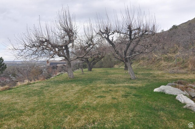 360 E 1825 N, Centerville, UT 84014 - view of yard