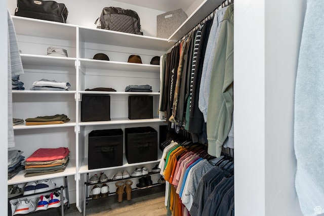 51 S 1250 E, Smithfield, UT 84335 - spacious closet featuring wood finished floors