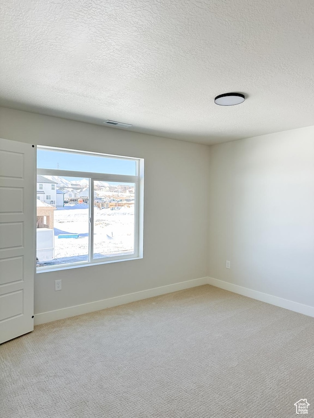 7007 W Hazel Oak Ct Unit 212, Herriman, UT 84096 - empty room with a textured ceiling and light colored carpet