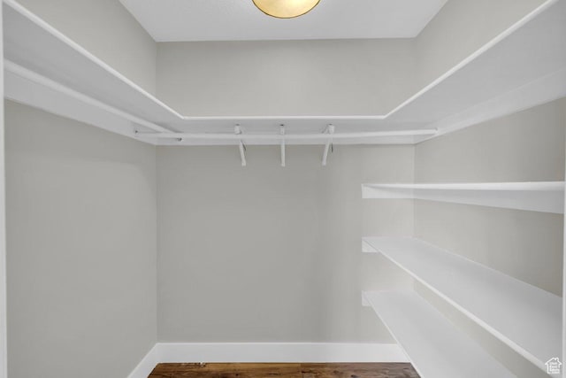 spacious closet with wood finished floors