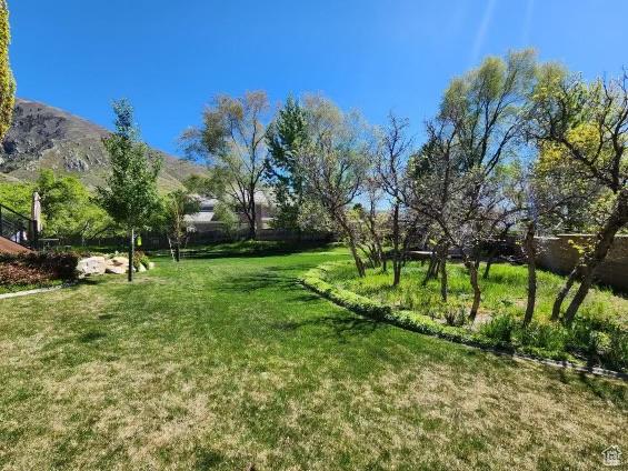 view of yard featuring a mountain view