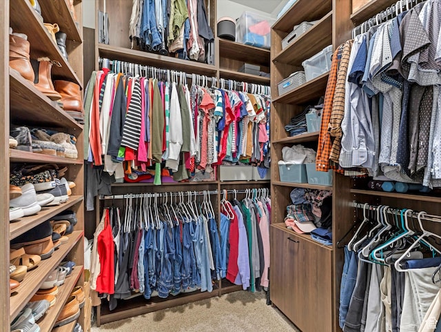 walk in closet with carpet flooring