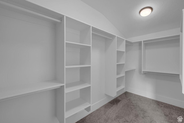 39 W Elinor Ln, Washington, UT 84780 - spacious closet featuring carpet and lofted ceiling