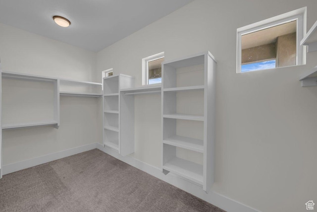 39 W Elinor Ln, Washington, UT 84780 - spacious closet featuring carpet