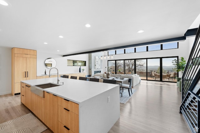 707 E 9th Ave, Salt Lake City, UT 84103 - kitchen featuring a sink, light wood-style flooring, light brown cabinetry, and modern cabinets