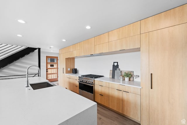 707 E 9th Ave, Salt Lake City, UT 84103 - kitchen with a sink, light brown cabinets, high end stove, and modern cabinets