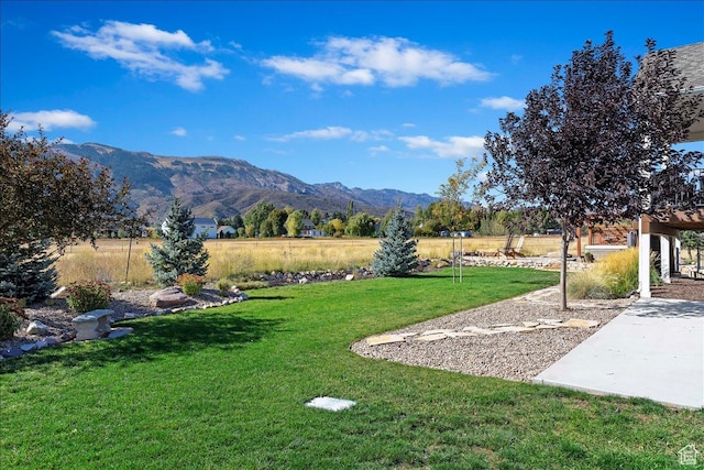 view of yard featuring a mountain view