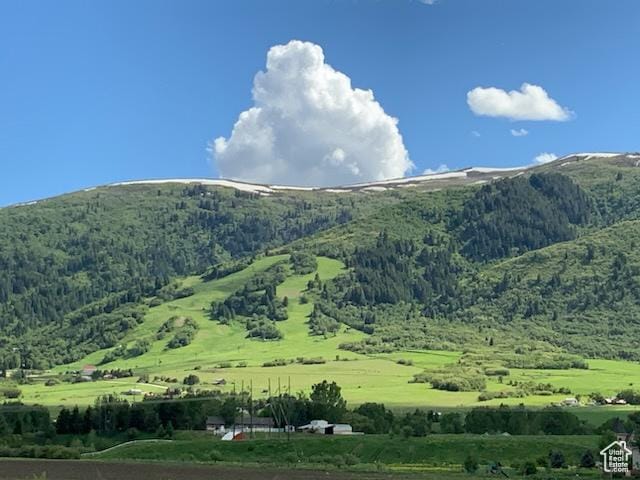 view of mountain feature