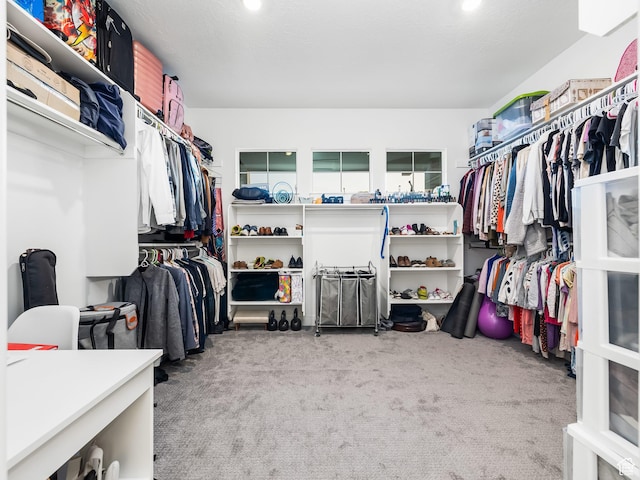 667 S Meade St, Mapleton, UT 84664 - walk in closet with carpet floors