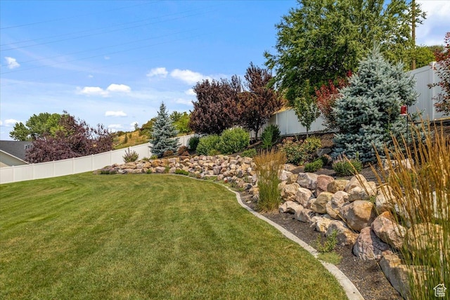 view of yard featuring a fenced backyard