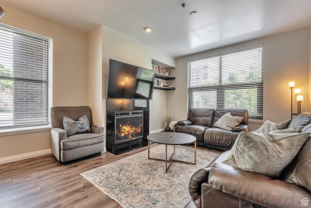 living room featuring a lit fireplace, wood finished floors, and baseboards