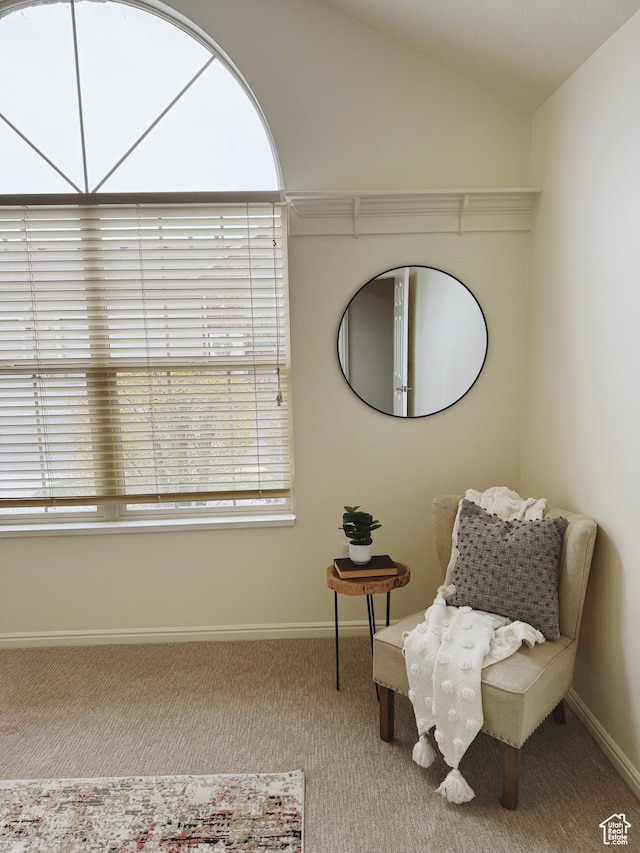 374 N 1100 E Unit F3, Lehi, UT 84043 - sitting room with lofted ceiling, baseboards, and carpet