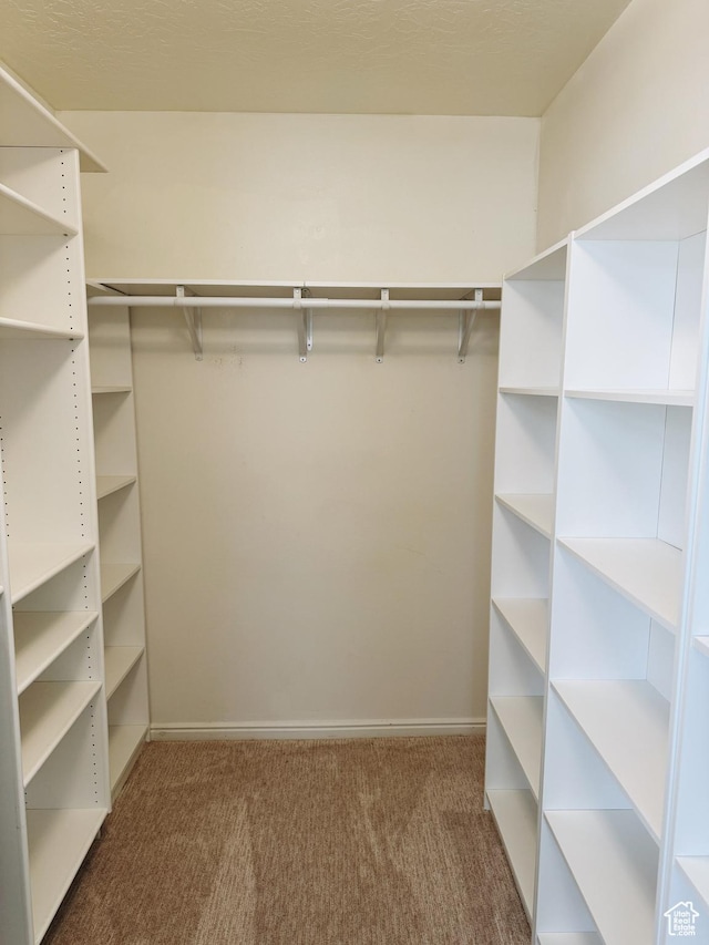 374 N 1100 E Unit F3, Lehi, UT 84043 - spacious closet with carpet floors