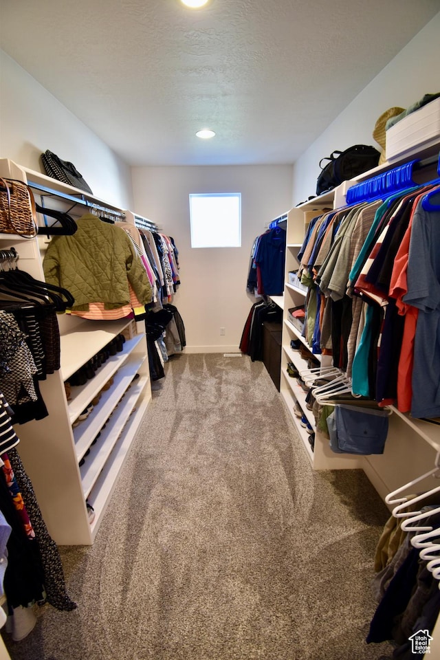 walk in closet with carpet