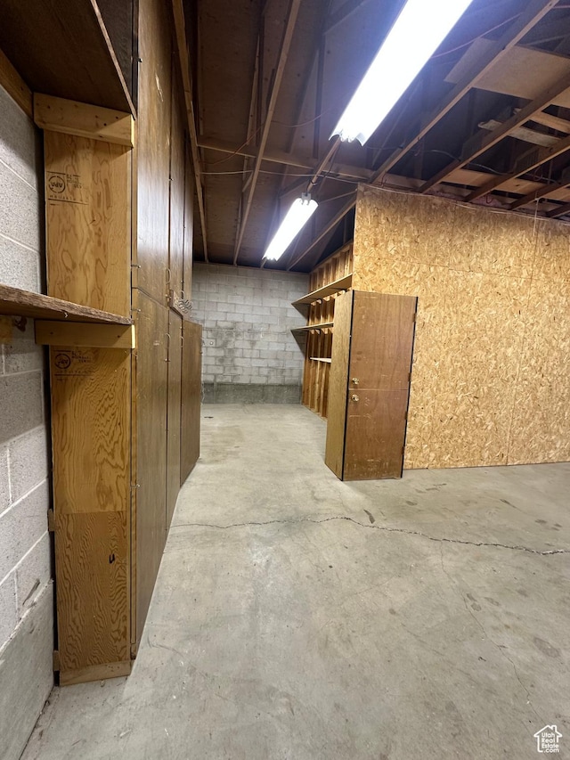 unfinished basement with concrete block wall