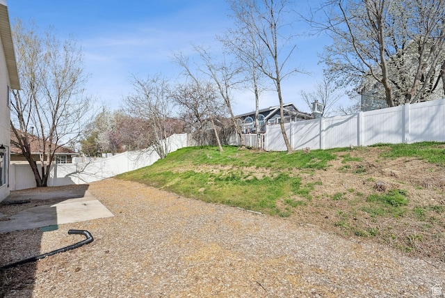 view of yard with a fenced backyard and a patio