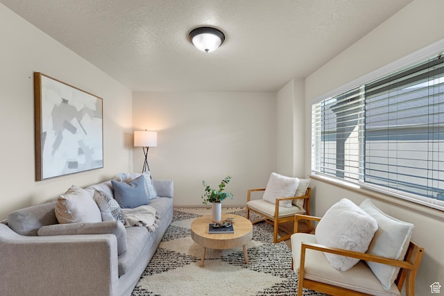 living area with a textured ceiling