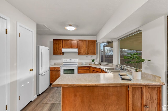 kitchen with white appliances, a peninsula, light countertops, under cabinet range hood, and a sink