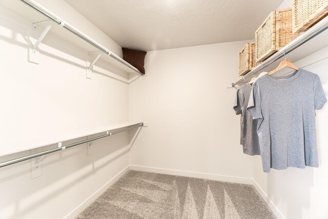 spacious closet featuring carpet
