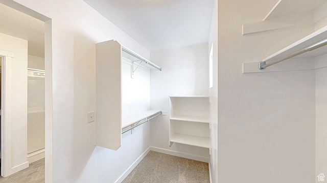 walk in closet with carpet flooring
