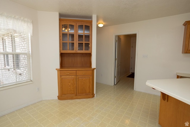 unfurnished dining area with baseboards, light floors, and a textured ceiling