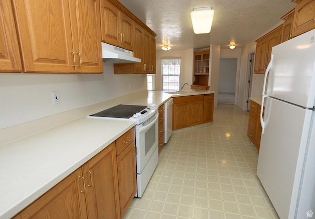 kitchen with a sink, brown cabinetry, white appliances, and under cabinet range hood