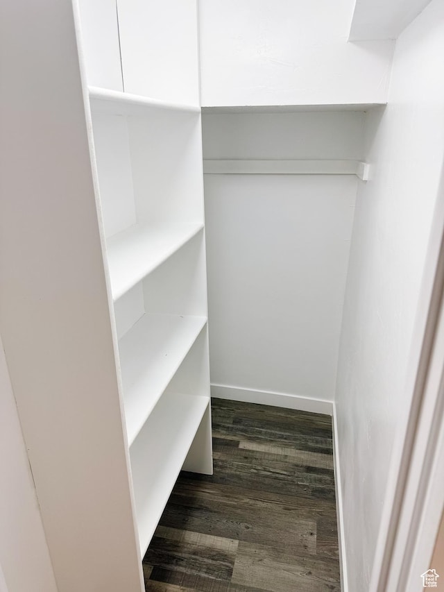 walk in closet with dark wood finished floors