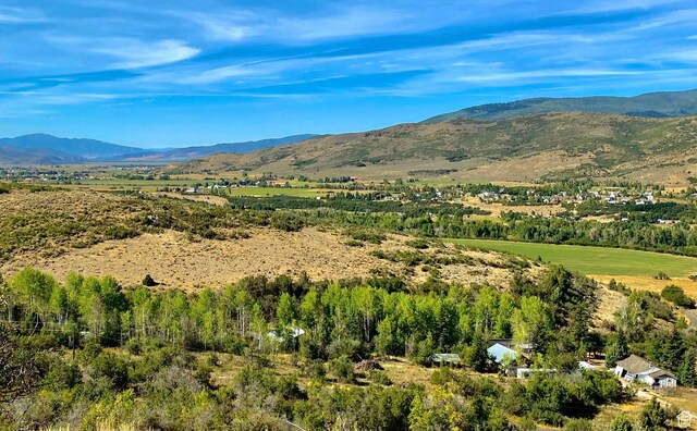 4482 S Aspen Hollow Rd, Woodland, UT 84036