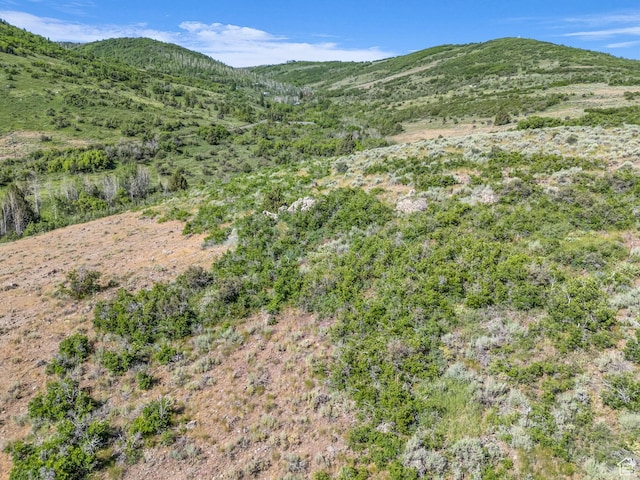 4482 S Aspen Hollow Rd, Woodland, UT 84036