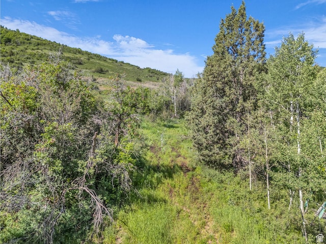 4482 S Aspen Hollow Rd, Woodland, UT 84036