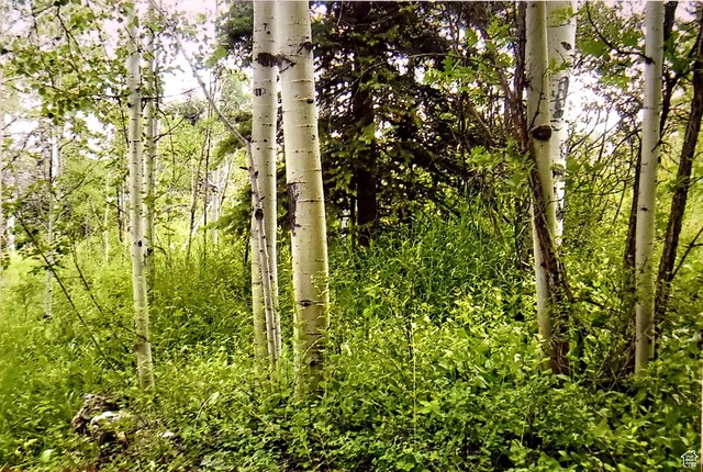 4482 S Aspen Hollow Rd, Woodland, UT 84036