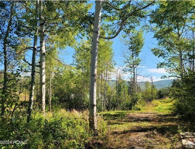 4482 S Aspen Hollow Rd, Woodland, UT 84036