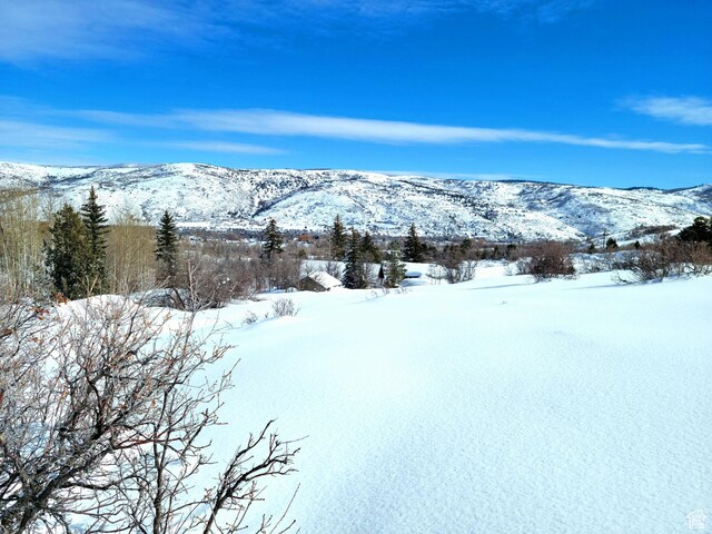 4482 S Aspen Hollow Rd, Woodland, UT 84036