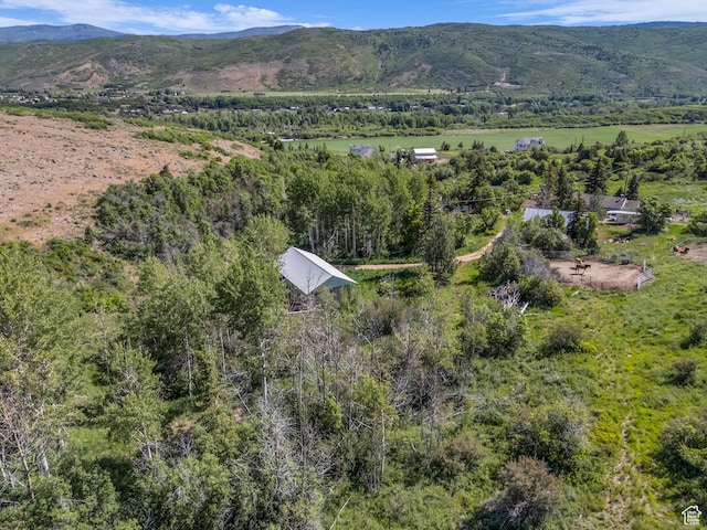 4482 S Aspen Hollow Rd, Woodland, UT 84036