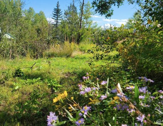 4482 S Aspen Hollow Rd, Woodland, UT 84036